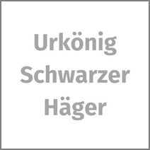 Schwarzer Häger Schwarzer Häger