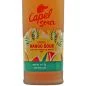 Mobile Preview: Pisco Capel Mango Sour 0,7 L 12% vol