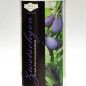 Preview: BACK Zwetschgenwasser 1 L 40%vol Preview: BACK Zwetschgenwasser 1 L 40%vol