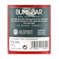 Preview: BUMSBAR der Partyshot Granatapfel-Likör 0,7 L 16% vol Preview: BUMSBAR der Partyshot Granatapfel-Likör 0,7 L 16% vol