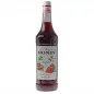 Preview: Monin Sirup Erdbeere 1 L Preview: Monin Sirup Erdbeere 1 L