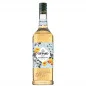 Preview: Giffard Sirup Amaretto 1 L Preview: Giffard Sirup Amaretto 1 L