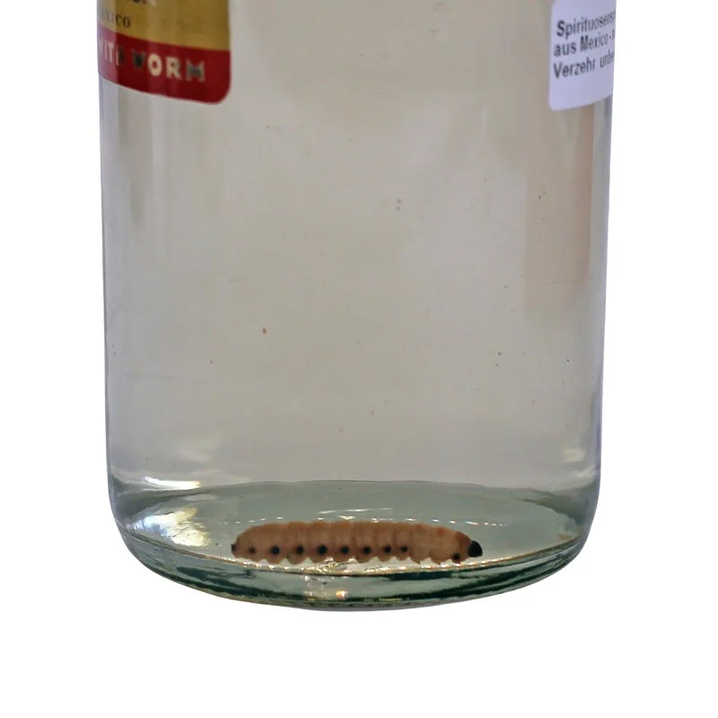 Mezcal Gusano Rojo mit Wurm 0,7 L 38% vol Mezcal Gusano Rojo mit Wurm 0,7 L 38% vol