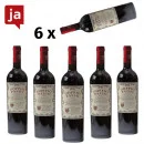 Doppio Passo Puglia Primitivo 6 x 0,75 L 13% vol