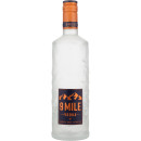 9 Mile Vodka LED beleuchtet 0,7 L 37,5% vol