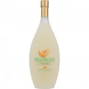 Bottega Meloncino Italienischer Likör 0,5 L 28% vol