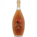 Bottega Pesca Liquore Italienischer Likör 0,5 L 28% vol