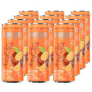 Shatler's Long Island Iced T Dose 12x 0,25 L 10,1% vol