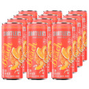 Shatler's Sex on the Beach Dose 12x 0,25 L 10,1% vol