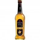 Riemerschmid Vanille Barsirup 0,7 L
